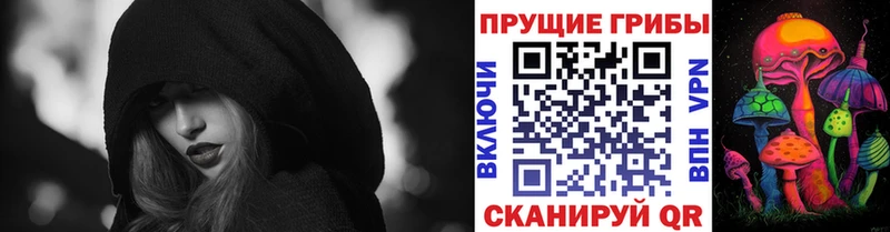 Псилоцибиновые грибы Cubensis  Харовск 
